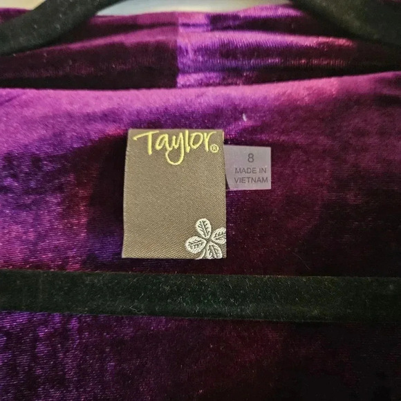 Taylot Velvet Flounce Hem Dress - Picture 3 of 4